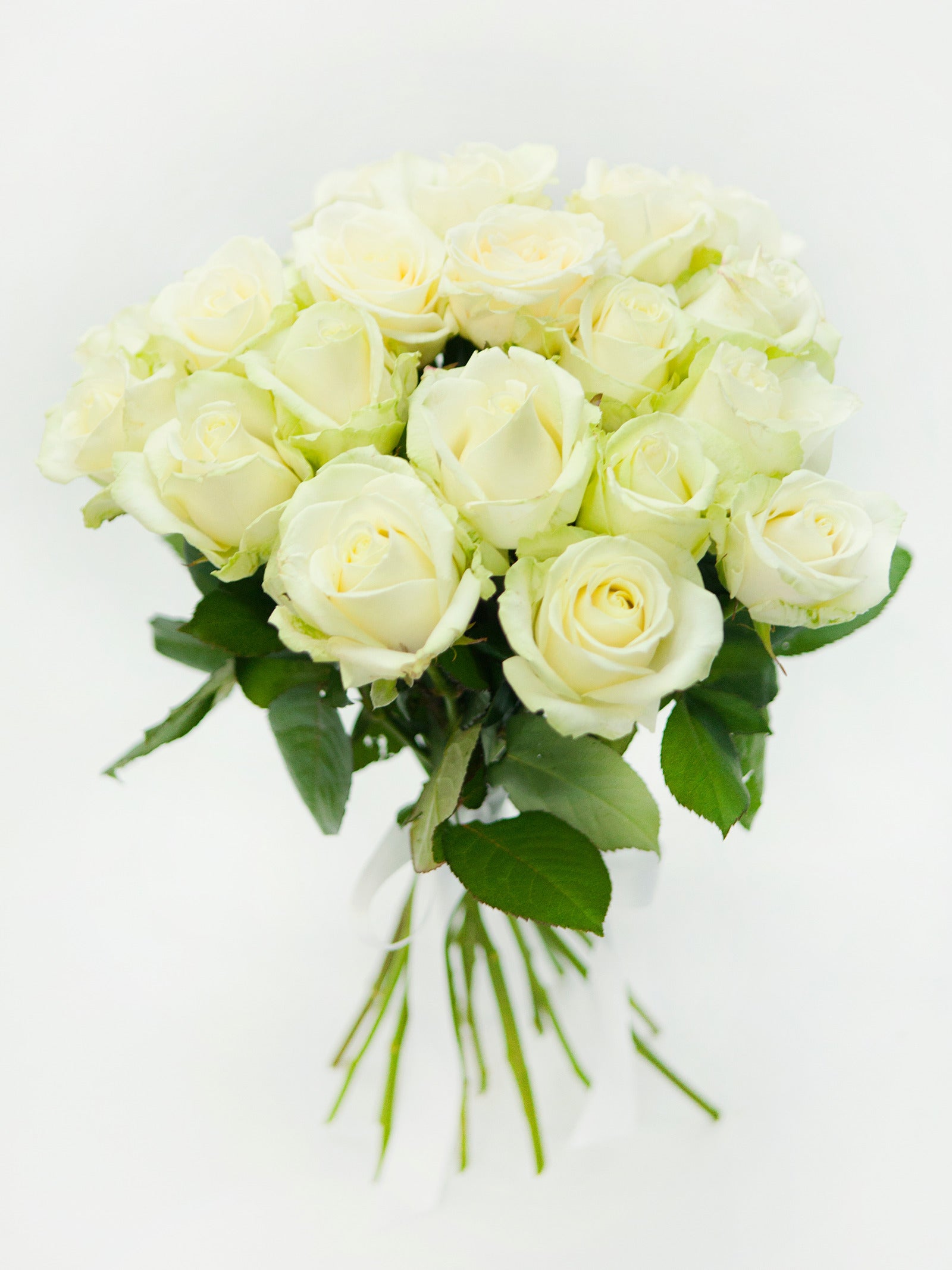 Weiße Rosen / 40-50 cm